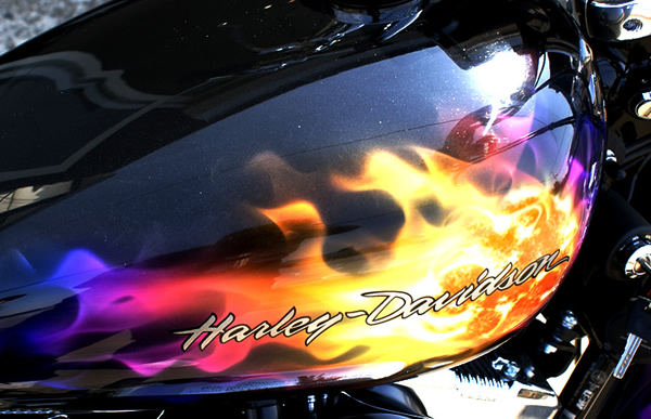 HARLEY DAVIDSON　XL1200C　リアルフレイムス®　　　