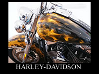 Harley Davidson  リアルフレイムス