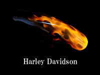 Harley Davidson 塗装