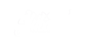 SHIBAART
