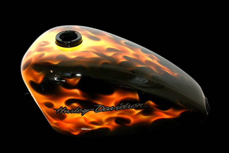 HARLEY-DAVIDSON SPORTSTAR REAL FLAMES