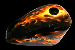 HARLEY-DAVIDSON SPORTSTAR REAL FLAMES