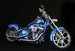 HARLEY-DAVIDSON REAL FLAMES@LfB[JX^yCg