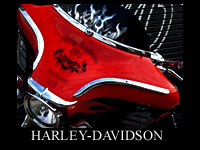 Harley Davidson リアルフレイムス