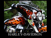 REVESE GEAR forHARLEY-DAVIDSON TRIKECYCLE UNIT for Motorcycle MAMBA.